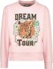Vingino Roze Sweater Ninny online kopen