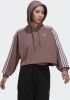Adidas Originals Sweatshirt ADICOLOR CLASSICS CROPPED HOODIE ADICOLOR CLASSICS CROP HOODIE online kopen