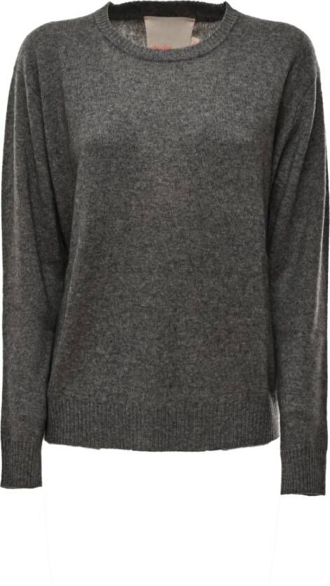 Absolut Cashmere Sweaters Grijs Dames