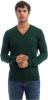 Polo Ralph Lauren V hals gebreide kleding , Groen, Heren online kopen