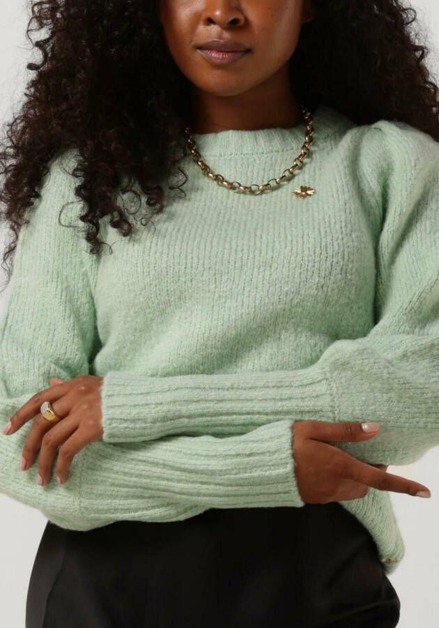 Fabienne Chapot Bibian trui lichtgroen , Groen, Dames