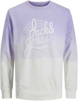 jack & jones Sweater Jack &amp, Jones