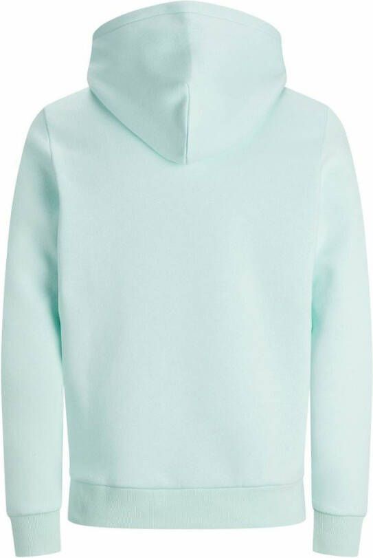 JACK & JONES ESSENTIALS hoodie met logo mintgroen