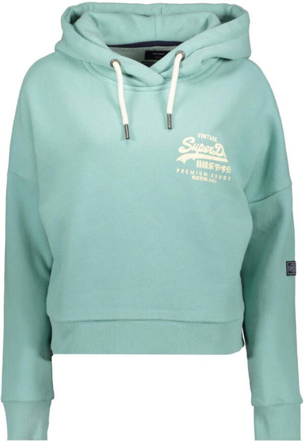 Superdry Truien Vintage Vl Narrative Hood Blauw