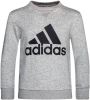 Adidas Big Logo Crewneck Sweatshirt Grijs/Zwart Kinderen online kopen